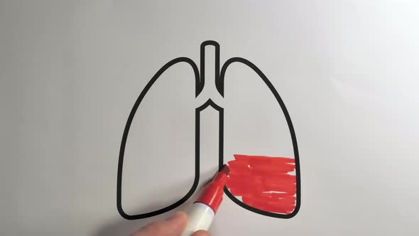A Progress Bar Illustration of the Lungs on the Paper
