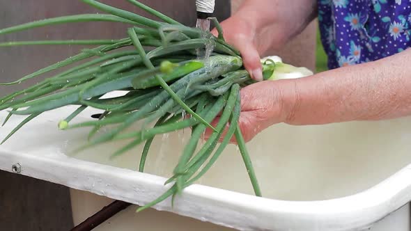 Grandma Washes Vegetables.