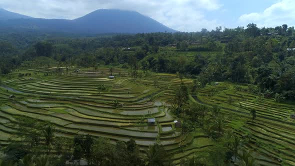 Rice Terraces in Asia with a Mountainous Landscape