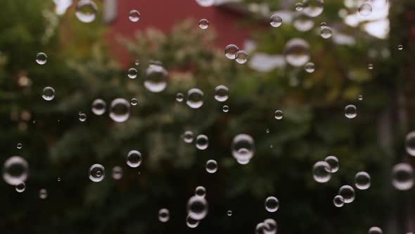 Soap Bubbles In The Garden