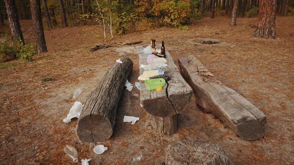 Garbage Left By People After Relaxing in a Pine Forest