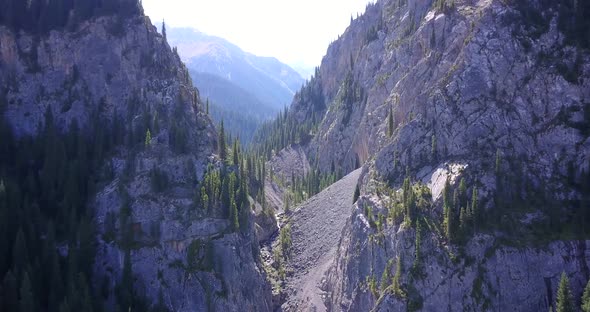 View of the Forest and Gorge From Above.