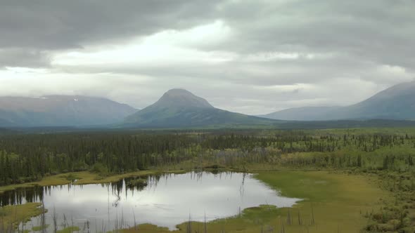 Peaceful View of Pond and Marshland Surrounded By Forest and Mountains