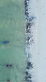 Vertical Video Empty Beach on Zanzibar Island Tanzania