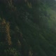 Mountain Forest Aerial - VideoHive Item for Sale