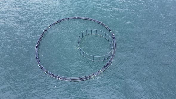 Aquaculture fish farm in sea providing farmed fish