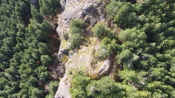 Mount Prevost, Vancouver Island. Rocky cliffs and tree-covered forest.