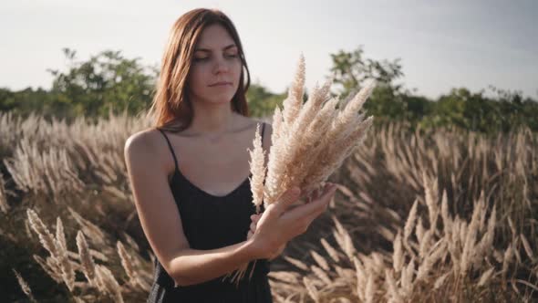 Beautiful Young Woman Walks in the Field Collects a Bouquet of Flowers and Spikelets