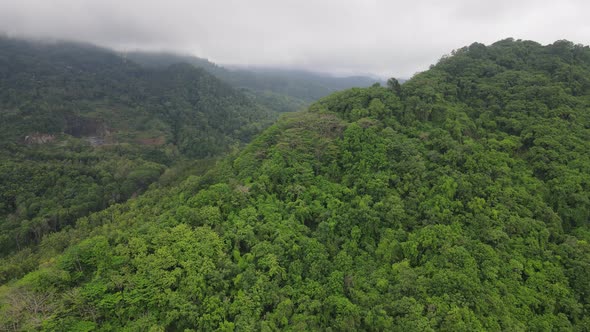 Aerial drone view of mist tropical rainforest in valley, Indonesia.