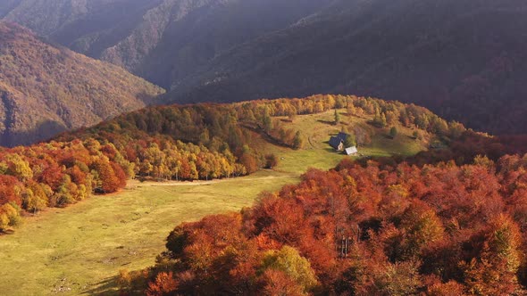 Aerial View of Beautiful Autumn Forest Colored Autumn Colors Trees Mountain Range in Background