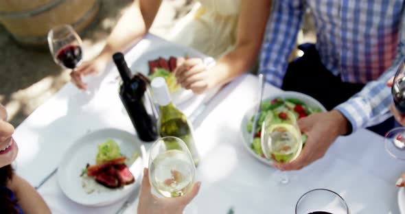 Group of friends toasting wine glasses