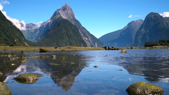 Milford Sound, Fiordland national park, New Zealand