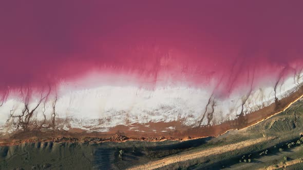 Aerial Top View of Bright Beautiful Pink Salt Lake with Wide White Salt Coast