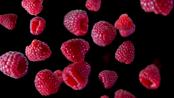 Juicy Raspberries Bouncing on a Black Background