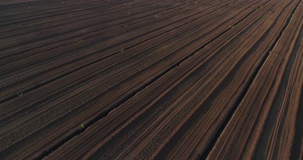 Sod Peat Harvesting Field Aerial Drone Shot