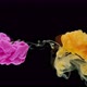 Pink and yellow ink paint in the water on black - VideoHive Item for Sale