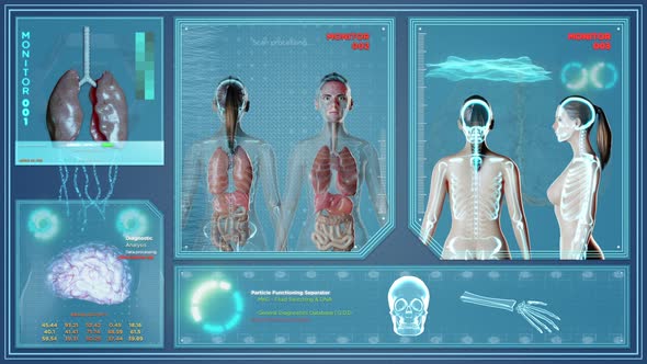 Female Body Futuristic X Ray Scan alt