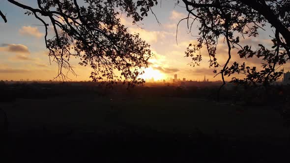 Drone shot through tree branches revealing beautiful sunrise over London skyline
