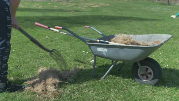 Young man filling wheelbarrow with dry grass using pitchfork