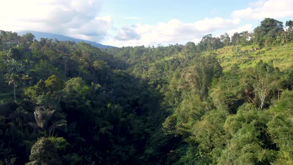 Drone flight over green hills canyon, rice terrace