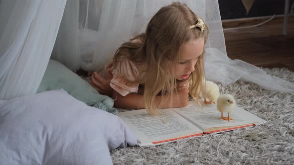 Little Girl is Reading a Book to Yellow Chicks