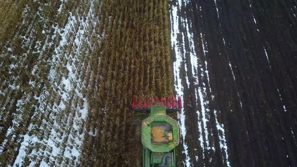 Harvesting corn with a combine harvester on agriculture