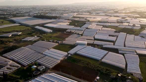 Drone Flying Over a Industrial Greenhouse