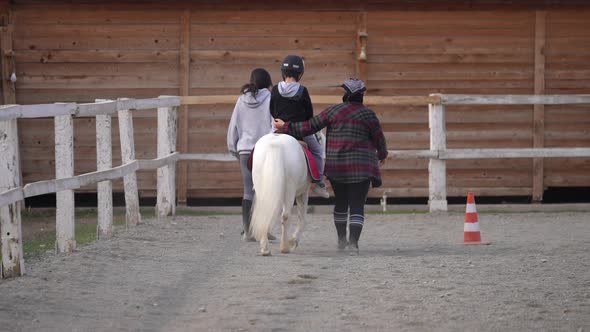 Therapy Horse Farm for Kids