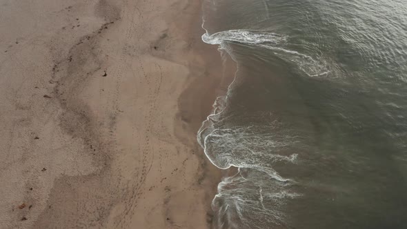 Drone shot seagull passing by looking down at waves crashing on the shore in Santa Cruz California