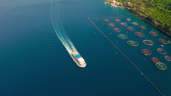 Aerial View on Oyster Mussels Farms with Speedboat in Blue Sea on the Kotor Bay Montenegro