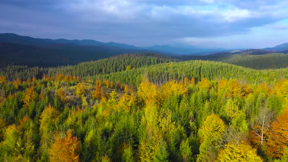 Aerial View of a Bright Autumn Forest on the Slopes of the Mountains at Sunrise