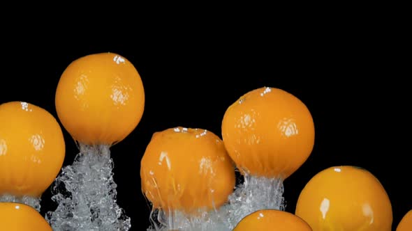 Wet Juicy Oranges are Bouncing From the Water with the Beautiful Wide Splashes