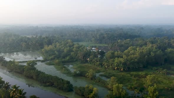 River in Asia,backwater village,Mangroves,Sunrise,Mist,irrigation,Boat,Transportation ,coconut trees