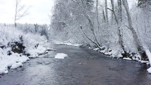 Trees on the Side of the Lake Covered with Snow in Estonia