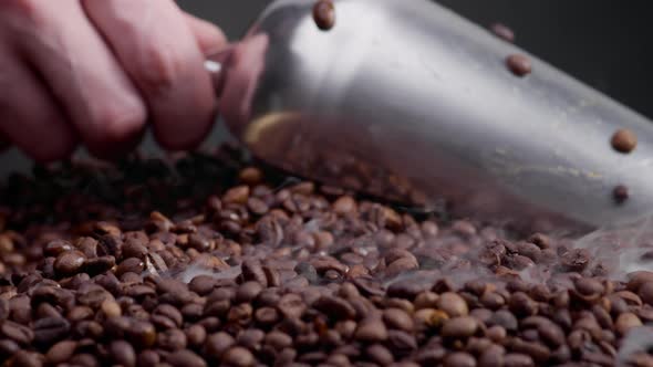 Closeup Man Scooping Roasted Coffee Grains Using Shovel