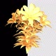 A Bouquet Of Flowers From Red Gold - VideoHive Item for Sale