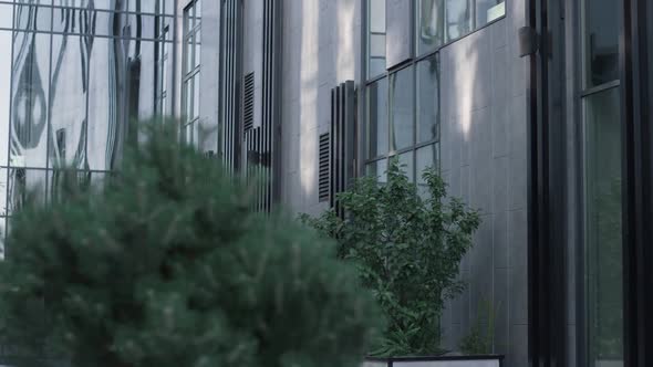 Green Trees at Corporate Office Glass Building