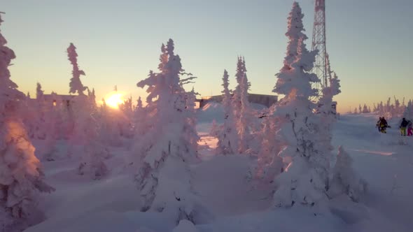 Aerial view of the trees in the snow on the mountainside