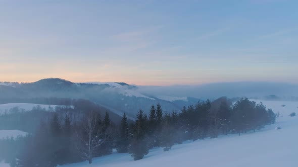 Snowy Forest, Mountain Peaks and Sunset Colors