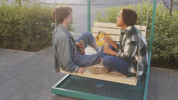 College Buddies Drinking Beer on Swing