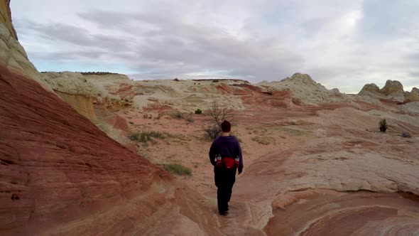 Woman hiking thought colorful desert in White Pocket