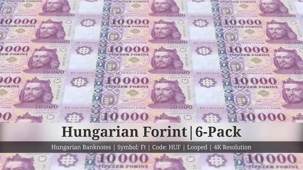 Hungarian Forint | Hungary Currency - 6 Pack | 4K Resolution | Looped