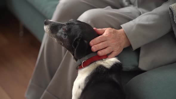 Retired Woman and Her Pet at Home