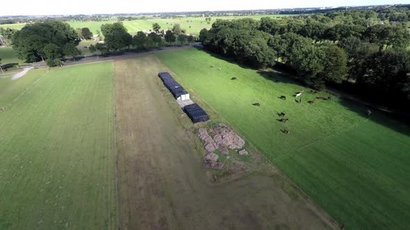 Aerial footage of horses in green meadows.