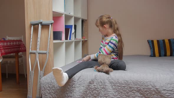 Girl Caring For A Toy Dog