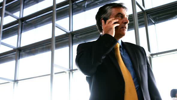 Businessman talking on mobile phone