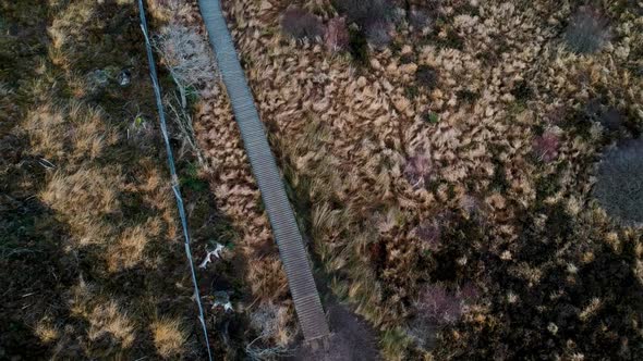 Aerial flies over marshland hiking trail peat moss sphagnum natural reserve