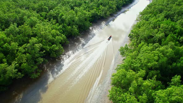 Top view of the boat cruising along the canal with mangroves surrounding