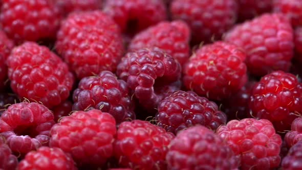 Rotating Ripe Raspberry