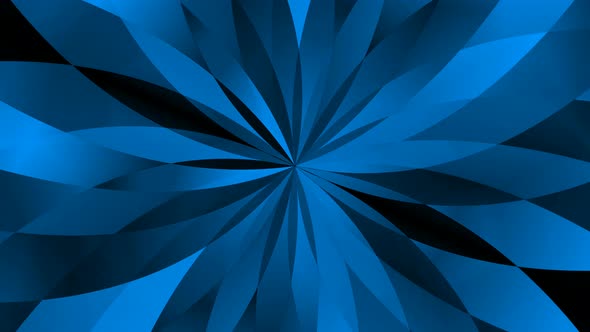 Blue Color Flower Pattern Animated Background